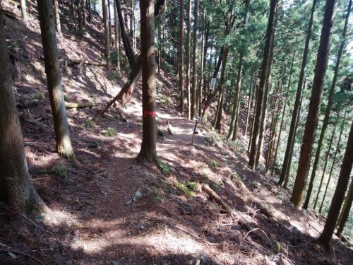 分岐手前。下山道という大きな看板があちらこちらにある