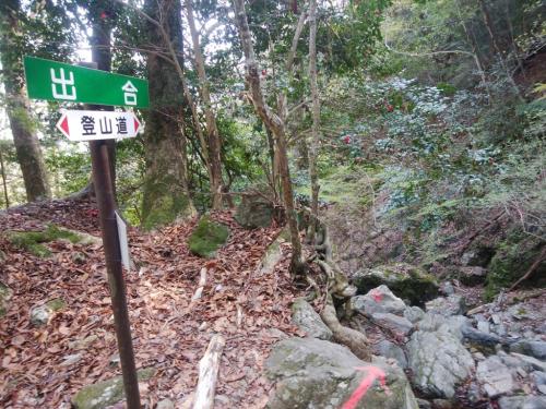 出合らしいが、このあたりから再び沢筋を歩く