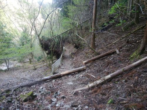 柵がでてきたらあと少し