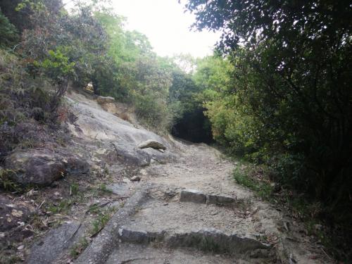 ここで直進したが左の岩場を登って行ってもいける