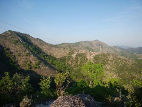続く稜線が見えたけど、まだまだ高御位山まで遠いなあ