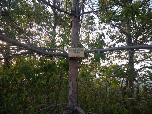 地徳という三角点らしい