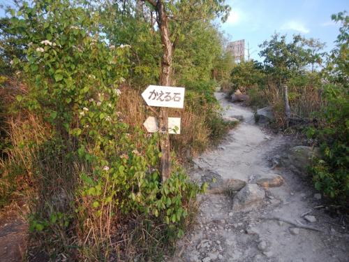 途中にあったかえる石。ちょっと見てみる