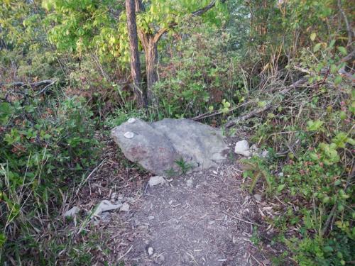 確かにかえるだけど、ちょっと無理矢理感があるかも