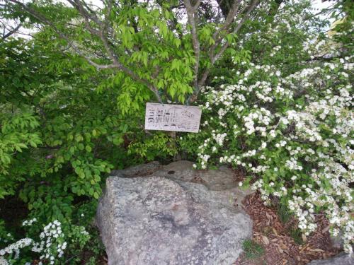 高御位山の山頂プレートがこんなところにあった。はじめてみたかも