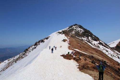 稜線にでたら剣ヶ峰はすぐそこなのよね。あそこならもう少しがんばれそうなので行くことにした
