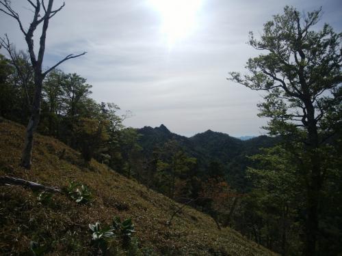 尖った大日岳が見えた