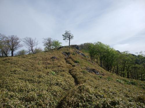 気持ちの良い稜線歩き