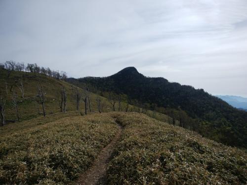 これから向かう釈迦ヶ岳が見えた