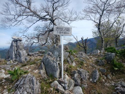 古田の森に到着