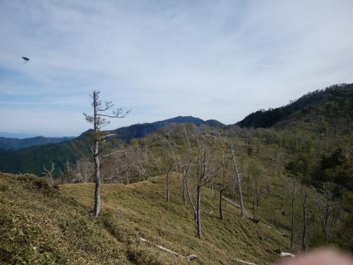 ここをずっと登っていくんよね