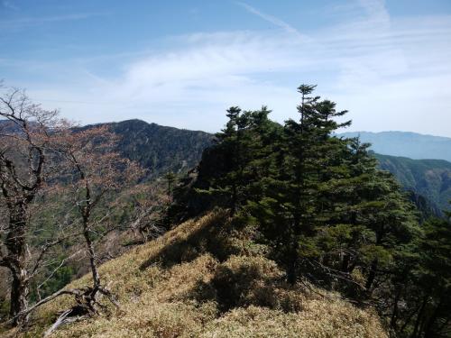 この辺りから岩地帯になる