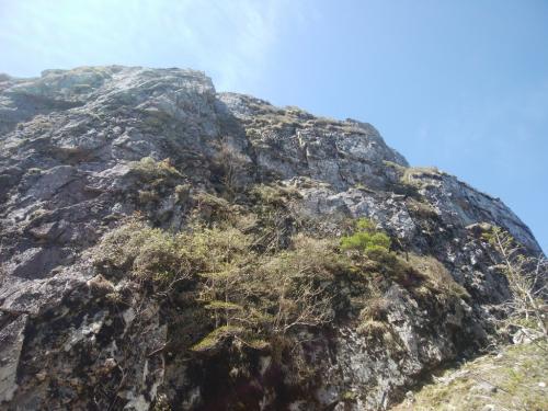 写真ではわかりにくいけど、迫力ある岩