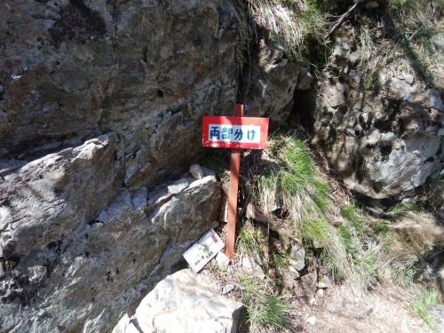 両部分けってなんだろうか！？