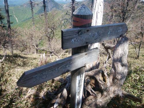 ここから釈迦ヶ岳まで110分！？仏生ヶ岳までは60分。仏生ヶ岳までのコースタイム的には全然余裕だね