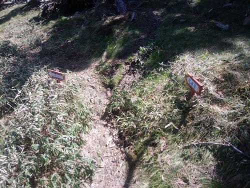 ここで奥駆道から一旦離れて孔雀岳の山頂に行く