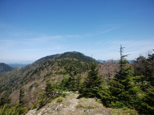 これから目指す仏生ヶ岳。ここから見ると結構遠いな