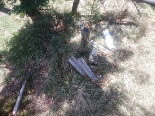 仏生ヶ岳にはなんか地蔵が置いてあった