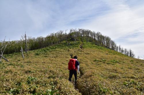 ここからは頂いた画像