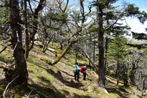 画像、ありがとうございました。