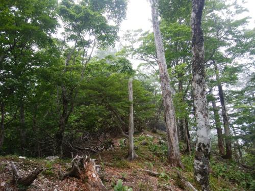 なんか秘境感あり