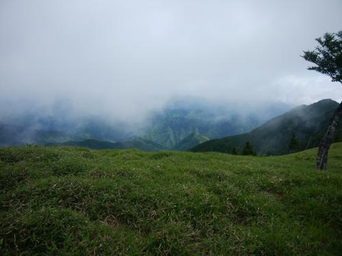 草原地帯に出た
