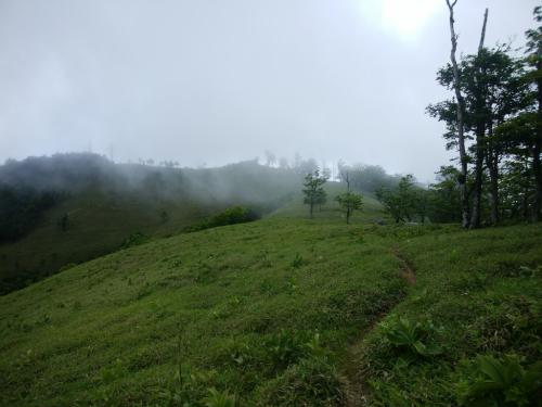 三津河落山への稜線、ガスっていてちょっと残念だけど、なかなかグッドな景色