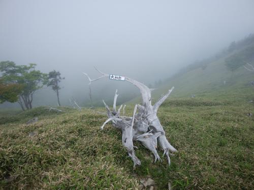 大和岳に到着。ここで少し休憩をとることにした