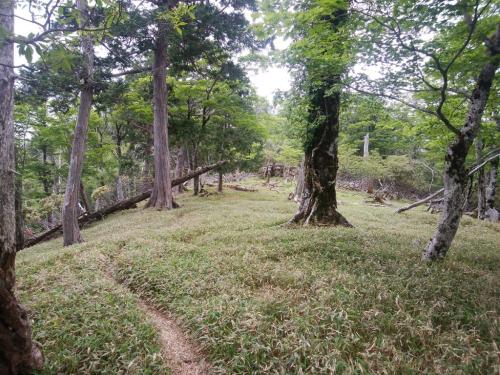 名古屋岳に向かう