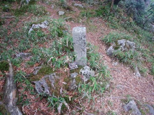 途中にあった如来月岳のピーク。ここから一旦ストーンっと下る