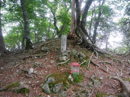 巴岳だがなんもなかった