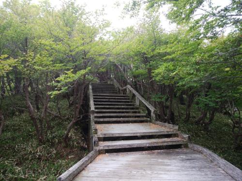 ここからはさっきとはうってかわる遊歩道。よく整備された道を歩いていく