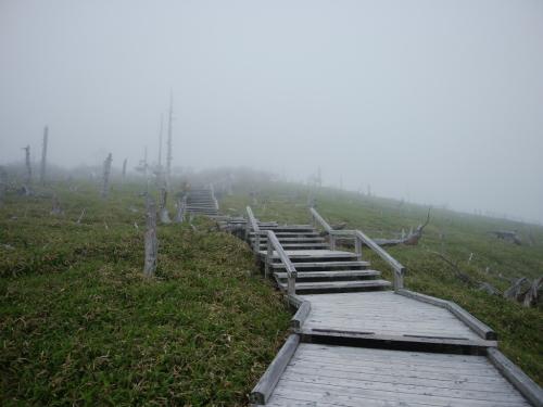 正木嶺。ここがガスってる風景は初めてみたけど、なかなか幻想的だった。これはこれでグッド！