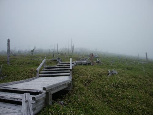 階段と木と草原がいい感じ