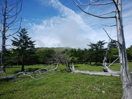 正木ヶ原に到着するとガスがすっかりはけて、青空がでてきた