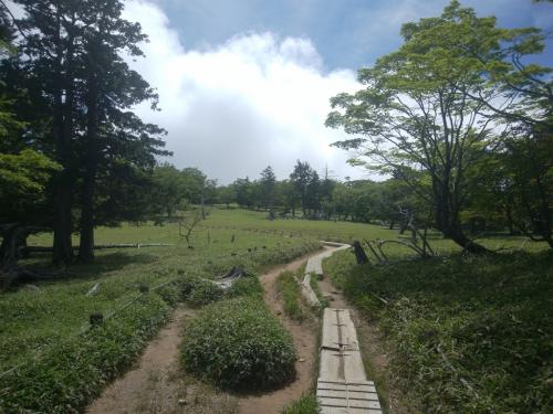 せっかく晴れたので牛石ヶ原に行く