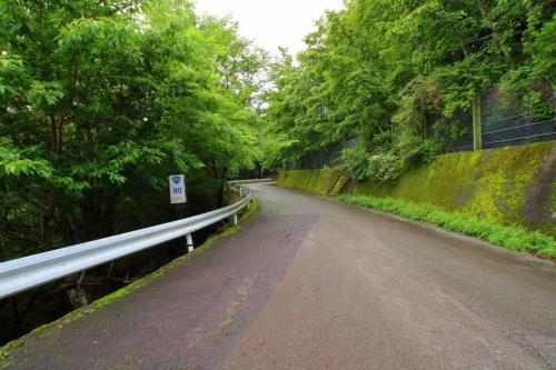 ちょうど９０番なんだな。向こうの階段を登っていく