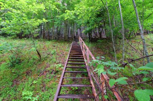 この階段が意外と急だ