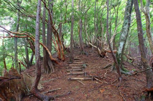 ガスってると思ったら、ぜんぜんガスがない