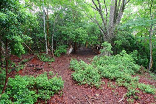 大峰って感じの雰囲気