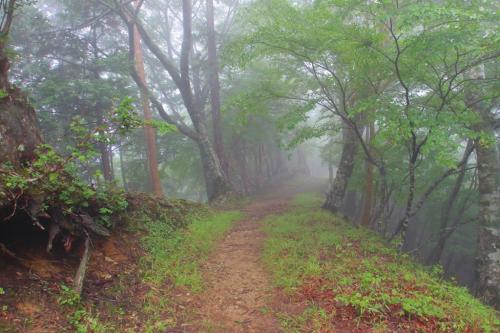 やった！ガスだガスだ！
