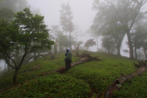 ガスの奥駈道もかなりいい感じ