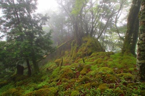 ここもいい雰囲気