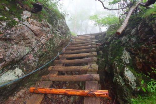 このハシゴが濡れていてかなり滑る。ツルっといったらおしまいなので慎重に登る