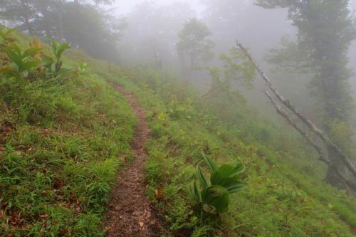 この付近から左へ行者還岳の頂上に行く
