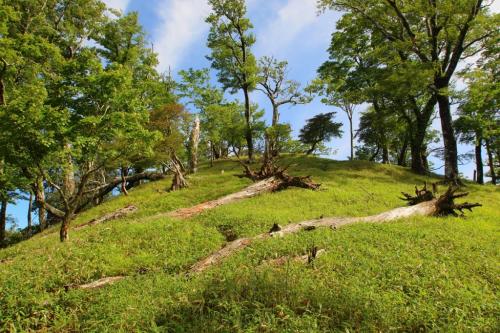 完全に晴れた。さっきとは全く違った風景になっていた