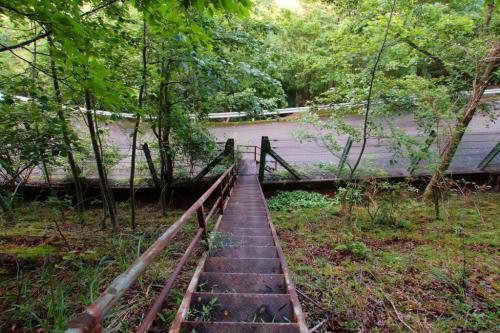 道路まで下りてきた。下りは早い！