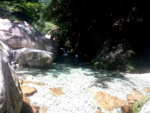 今年は水量もちょうど良くてかなり水が綺麗だ！！