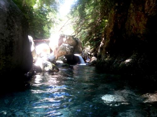 うひょ～神秘的