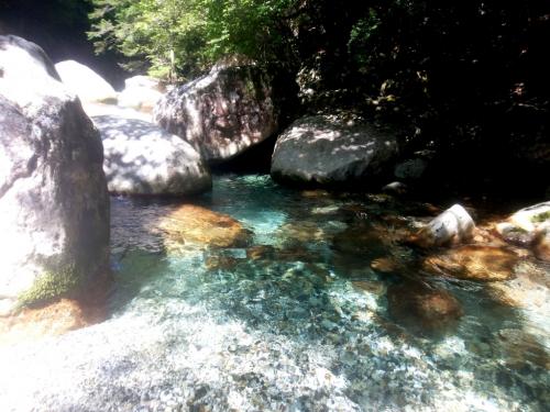 どこみてもこの透明感